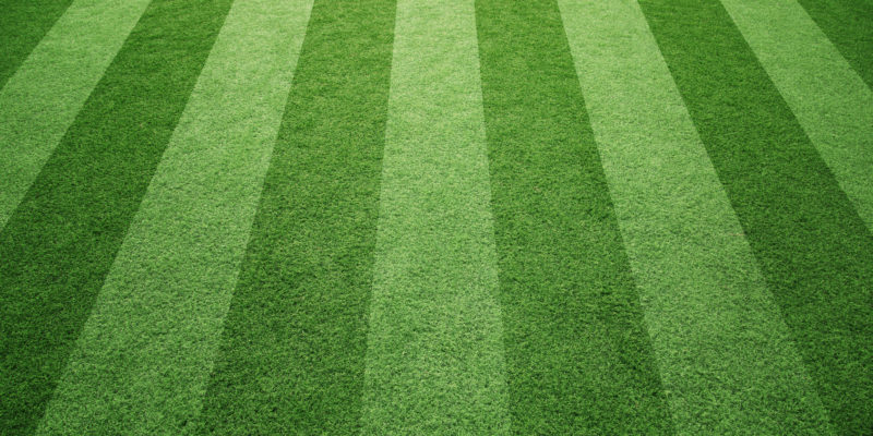 Sunny socccer or rugby artificial green grass field background.